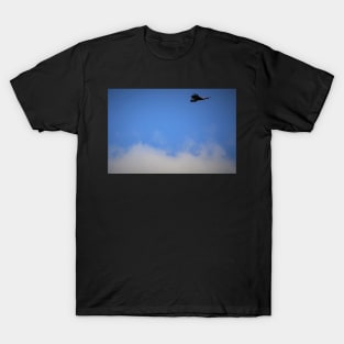 Golden Eagle Soaring the Cloudy sky T-Shirt